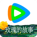 踩脚袜裤怎样穿舒适